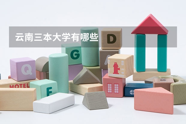 云南三本大学有哪些