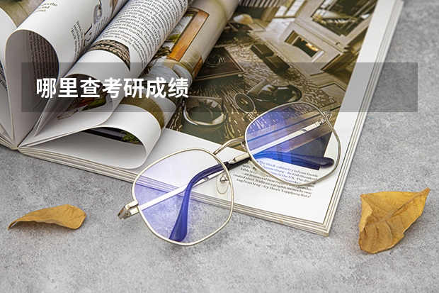 哪里查考研成绩