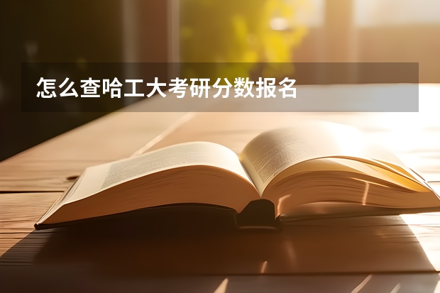 怎么查哈工大考研分数报名