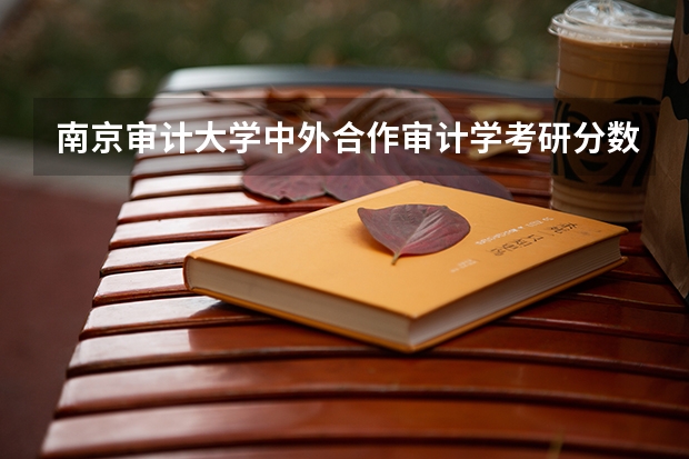 南京审计大学中外合作审计学考研分数线(南京审计大学 Mpacc 会计专硕考研经验)