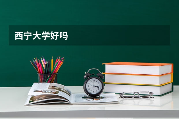 西宁大学好吗