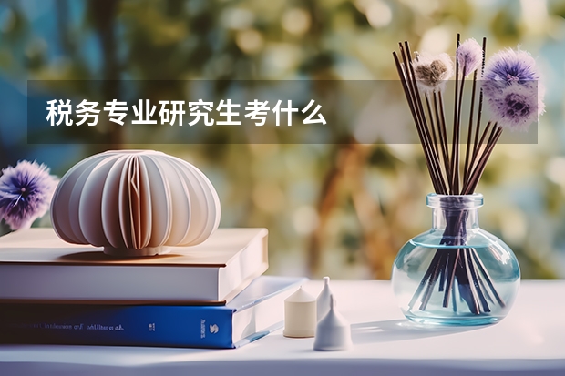 税务专业研究生考什么