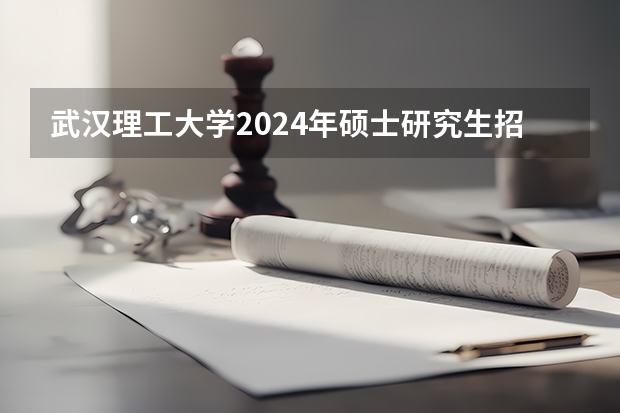 武汉理工大学2024年硕士研究生招生简章(【华研法硕】2024昆明理工大学招生简章非法学27人,法学28人)
