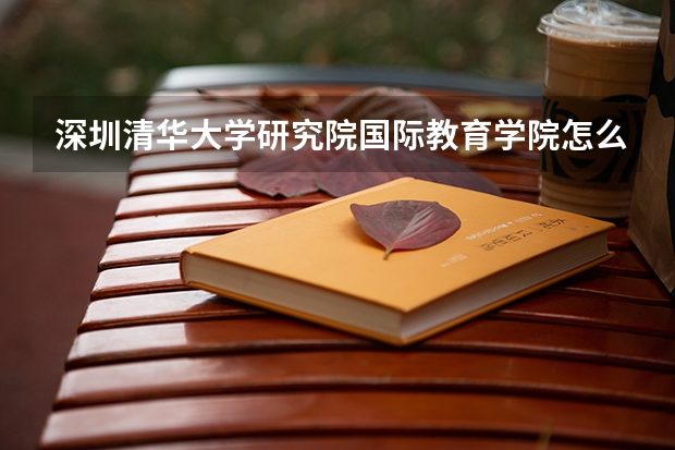 深圳清华大学研究院国际教育学院怎么样?