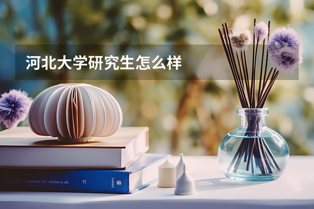 河北大学研究生怎么样