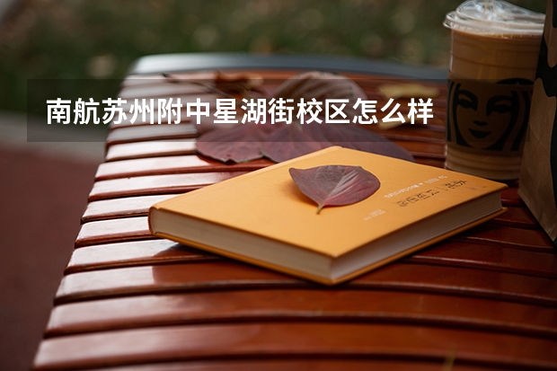 南航苏州附中星湖街校区怎么样