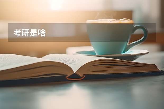 考研是啥