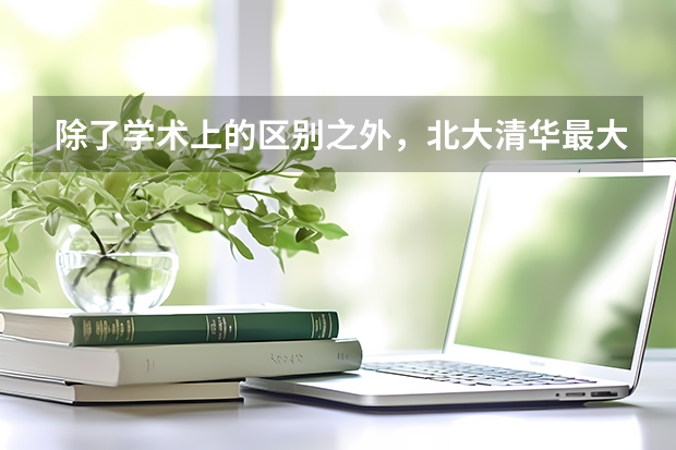 除了学术上的区别之外,北大清华最大的区别在哪里
