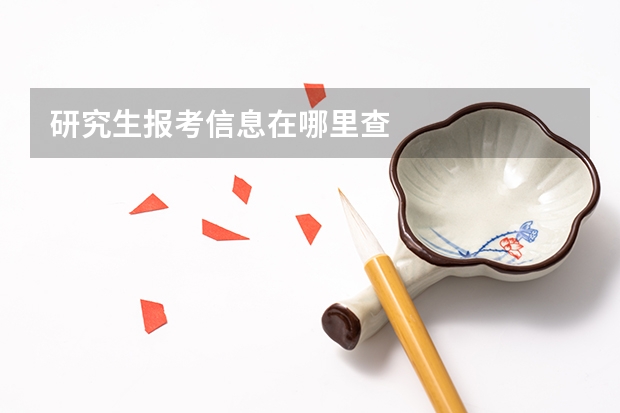 研究生报考信息在哪里查