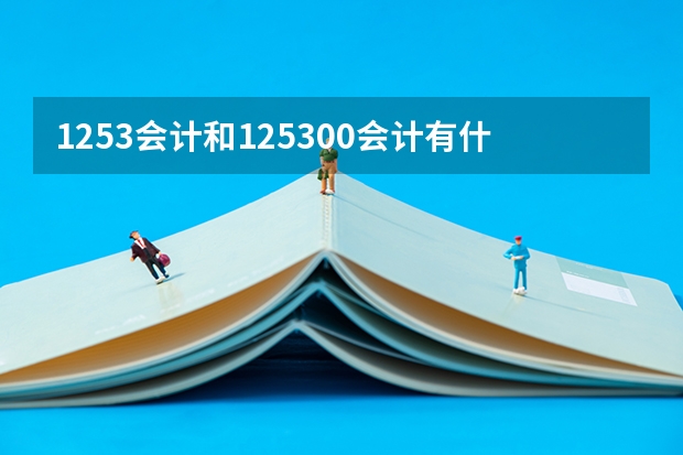 1253会计和125300会计有什么区别