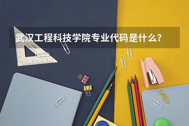 武汉工程科技学院专业代码是什么?