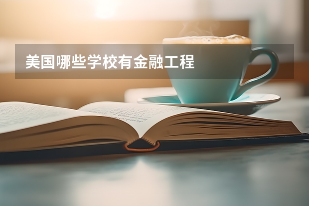 美国哪些学校有金融工程