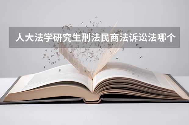 人大法学研究生刑法民商法诉讼法哪个好考一点,前途好一点