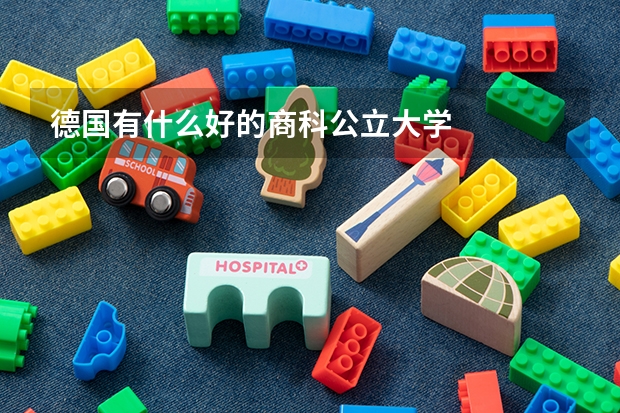德国有什么好的商科公立大学