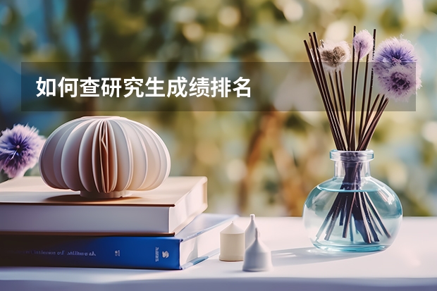 如何查研究生成绩排名